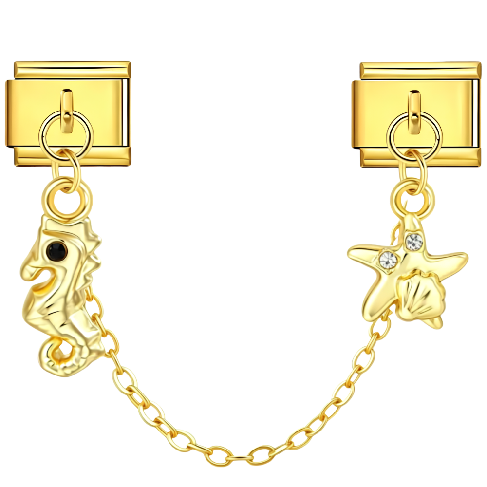 Hippocampe & Étoile Marine